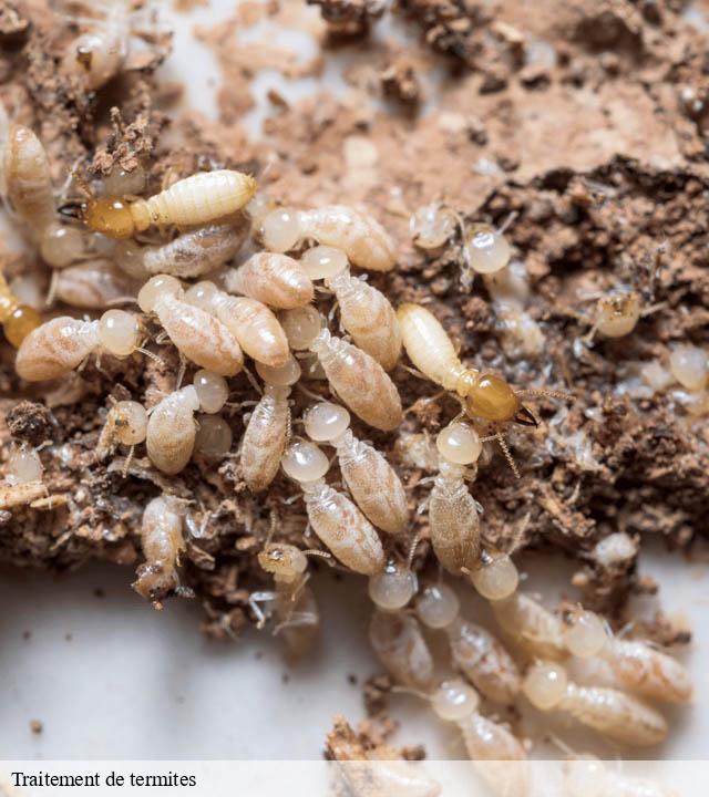Traitement de termites 51 Marne  Presence 3d destruction nuisible 