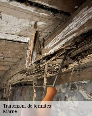 Traitement de termites 51 Marne  Presence 3d destruction nuisible 