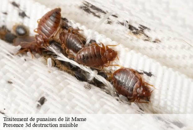 Traitement de punaises de lit 51 Marne  Presence 3d destruction nuisible 