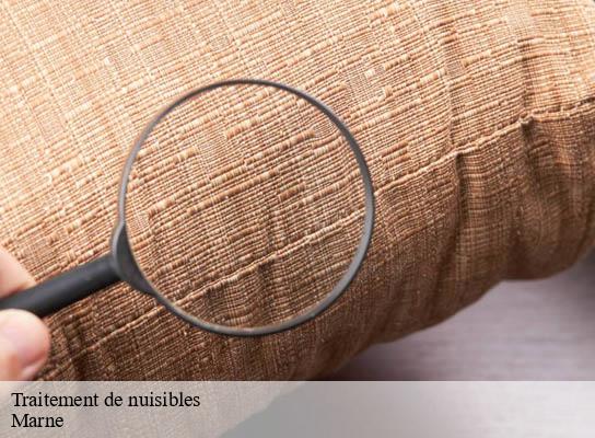 Traitement de nuisibles 51 Marne  Presence 3d destruction nuisible 