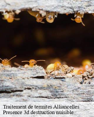 Traitement de termites alliancelles-51250 Presence 3d destruction nuisible