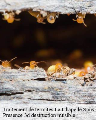 Traitement de termites  la-chapelle-sous-orbais-51270 Presence 3d destruction nuisible 