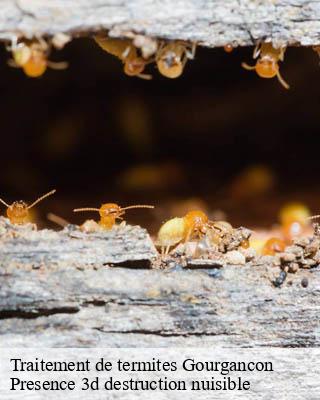 Traitement de termites gourgancon-51230 Presence 3d destruction nuisible