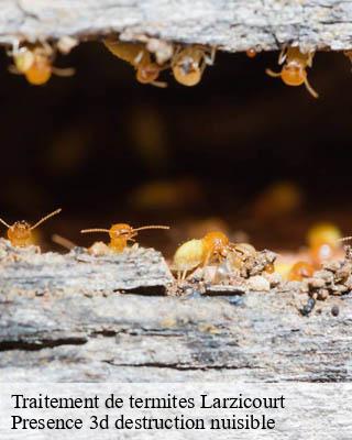 Traitement de termites larzicourt-51290 Presence 3d destruction nuisible
