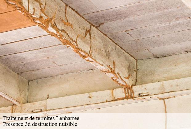 Traitement de termites  lenharree-51230 Presence 3d destruction nuisible 