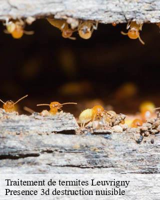 Traitement de termites  leuvrigny-51700 Presence 3d destruction nuisible 