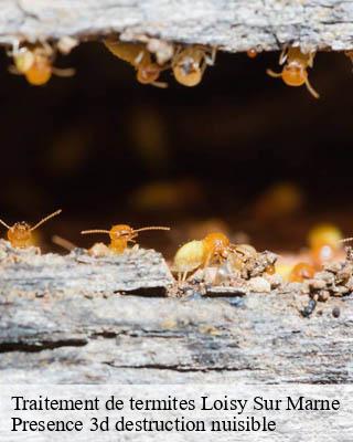 Traitement de termites  loisy-sur-marne-51300 Presence 3d destruction nuisible 