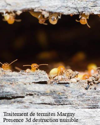 Traitement de termites  margny-51210 Presence 3d destruction nuisible 