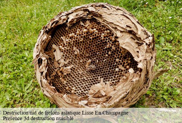 Destruction nid de frelons asiatique  lisse-en-champagne-51300 Presence 3d destruction nuisible 