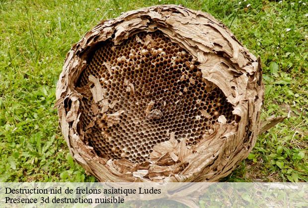 Destruction nid de frelons asiatique  ludes-51500 Presence 3d destruction nuisible 