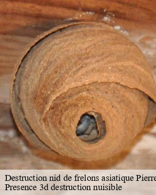 Destruction nid de frelons asiatique  pierre-morains-51130 Presence 3d destruction nuisible 