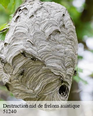 Destruction nid de frelons asiatique  vitry-la-ville-51240 Presence 3d destruction nuisible 