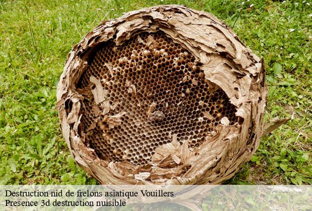 Destruction nid de frelons asiatique  vouillers-51340 Presence 3d destruction nuisible 
