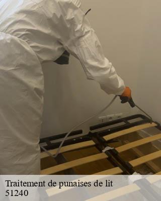 Traitement de punaises de lit  chepy-51240 Presence 3d destruction nuisible 