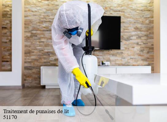 Traitement de punaises de lit  magneux-51170 Presence 3d destruction nuisible 