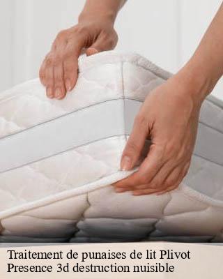 Traitement de punaises de lit  plivot-51150 Presence 3d destruction nuisible 
