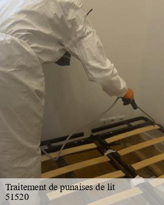Traitement de punaises de lit  recy-51520 Presence 3d destruction nuisible 