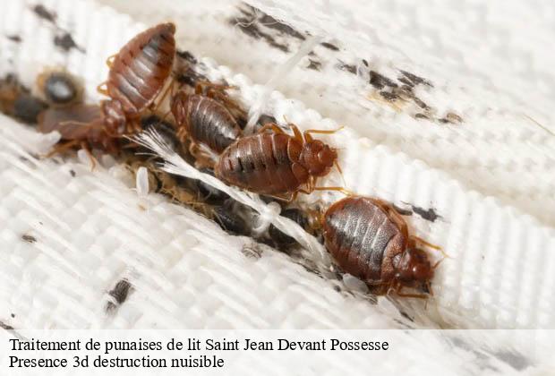 Traitement de punaises de lit  saint-jean-devant-possesse-51330 Presence 3d destruction nuisible 