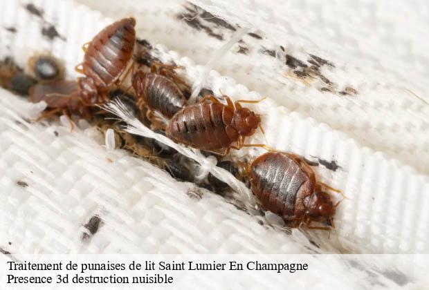 Traitement de punaises de lit  saint-lumier-en-champagne-51300 Presence 3d destruction nuisible 