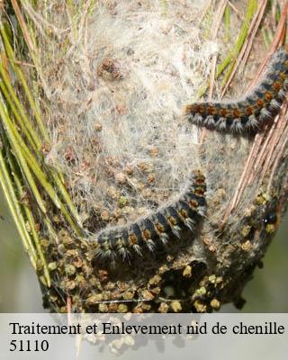 Traitement et Enlevement nid de chenille boult-sur-suippe-51110 Presence 3d destruction nuisible