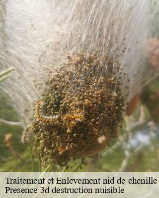 Traitement et Enlevement nid de chenille  germigny-51390 Presence 3d destruction nuisible 