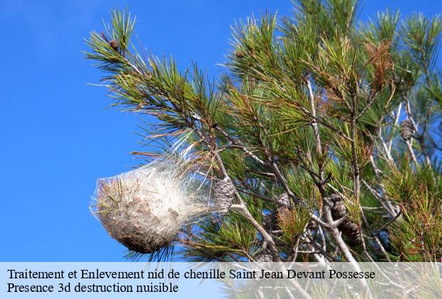 Traitement et Enlevement nid de chenille  saint-jean-devant-possesse-51330 Presence 3d destruction nuisible 