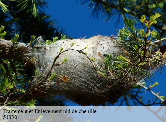 Traitement et Enlevement nid de chenille  saint-jean-devant-possesse-51330 Presence 3d destruction nuisible 