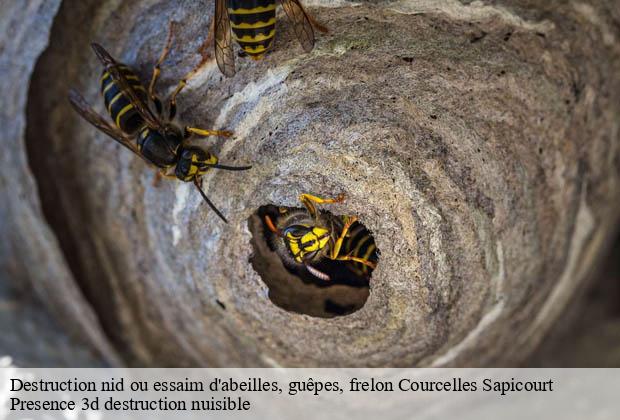 Destruction nid ou essaim d'abeilles, guêpes, frelon  courcelles-sapicourt-51140 Presence 3d destruction nuisible 