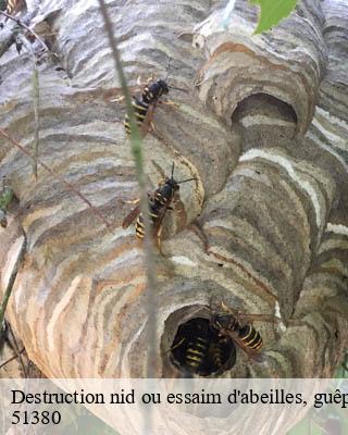 Destruction nid ou essaim d'abeilles, guêpes, frelon trepail-51380 Presence 3d destruction nuisible