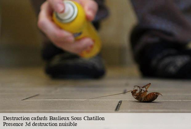 Destruction cafards  baslieux-sous-chatillon-51700 Presence 3d destruction nuisible 
