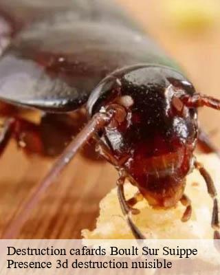 Destruction cafards boult-sur-suippe-51110 Presence 3d destruction nuisible