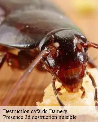 Destruction cafards damery-51480 Presence 3d destruction nuisible
