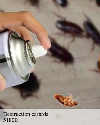 Destruction cafards gizaucourt-51800 Presence 3d destruction nuisible