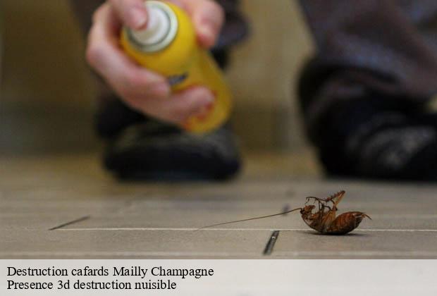 Destruction cafards  mailly-champagne-51500 Presence 3d destruction nuisible 