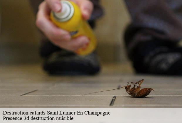 Destruction cafards  saint-lumier-en-champagne-51300 Presence 3d destruction nuisible 