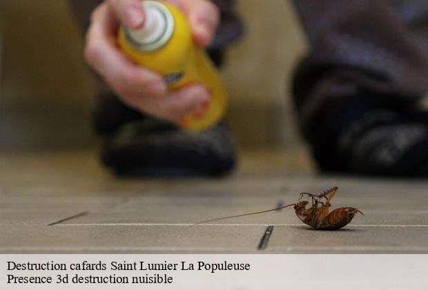 Destruction cafards  saint-lumier-la-populeuse-51340 Presence 3d destruction nuisible 
