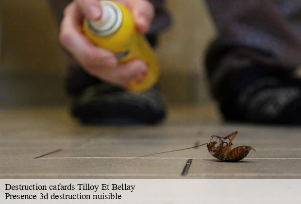 Destruction cafards  tilloy-et-bellay-51460 Presence 3d destruction nuisible 