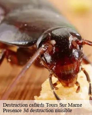 Destruction cafards tours-sur-marne-51150 Presence 3d destruction nuisible