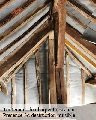 Traitement de charpente breban-51320 Presence 3d destruction nuisible