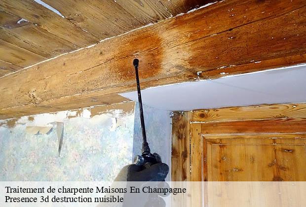 Traitement de charpente  maisons-en-champagne-51300 Presence 3d destruction nuisible 