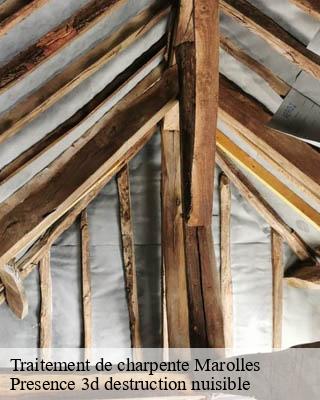 Traitement de charpente marolles-51300 Presence 3d destruction nuisible