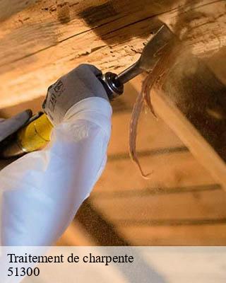 Traitement de charpente marolles-51300 Presence 3d destruction nuisible