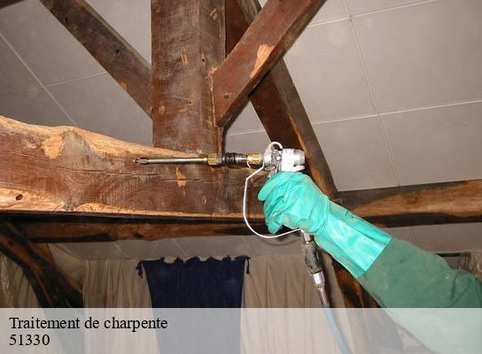 Traitement de charpente  saint-jean-devant-possesse-51330 Presence 3d destruction nuisible 