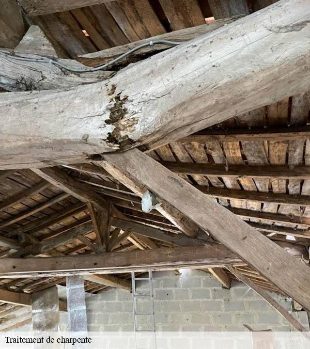 Traitement de charpente  saint-jean-devant-possesse-51330 Presence 3d destruction nuisible 